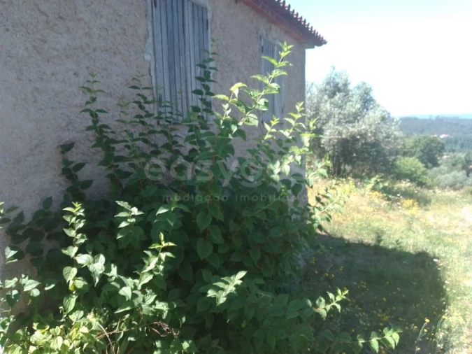 Quinta T2 para Venda em Dardavaz Foto 10