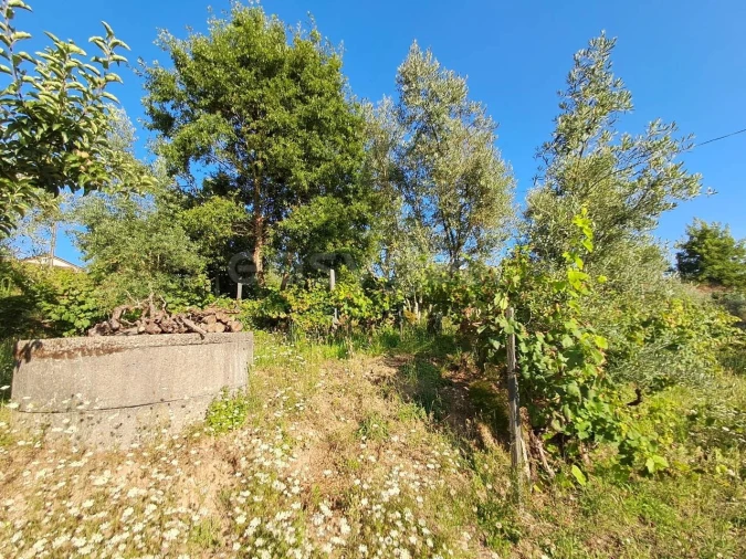 Quinta T2 para Venda em Dardavaz Foto 14