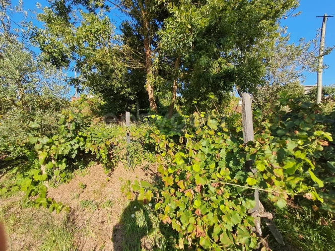 Quinta T2 para Venda em Dardavaz Foto 19