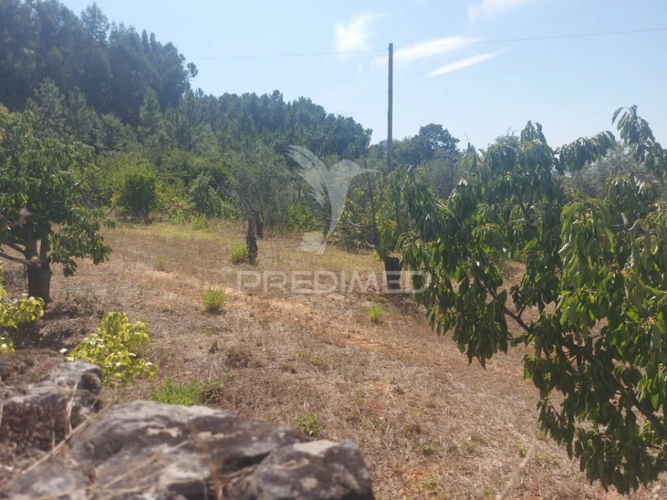 Quinta para Venda em Fundão, Valverde, Donas, A. Joanes, A. Nova Cabo Foto 12