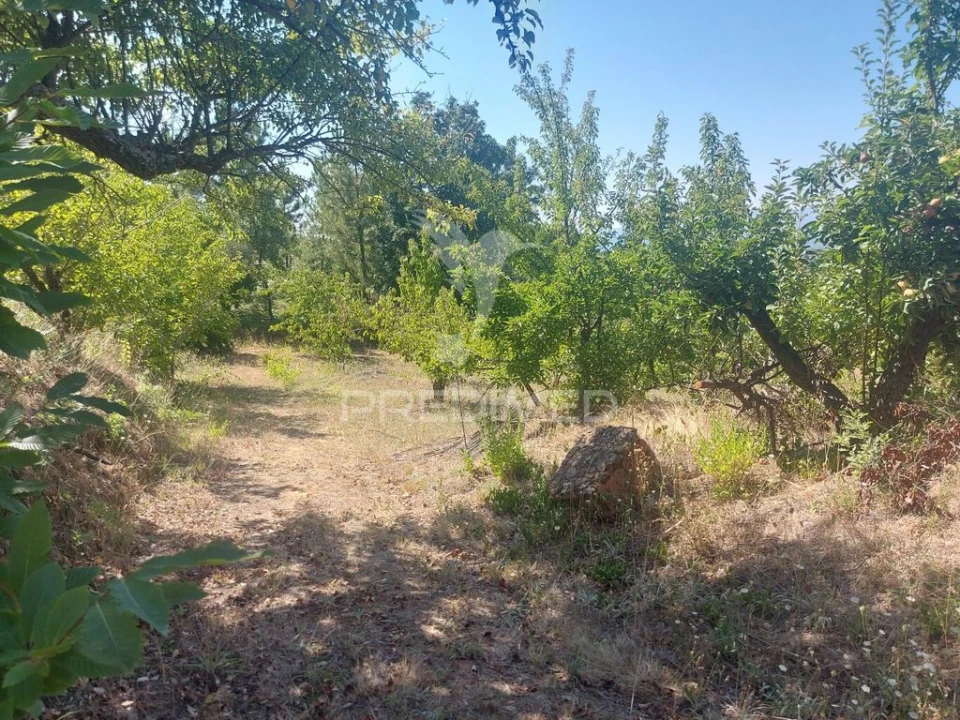 Quinta para Venda em Fundão, Valverde, Donas, A. Joanes, A. Nova Cabo Foto 13