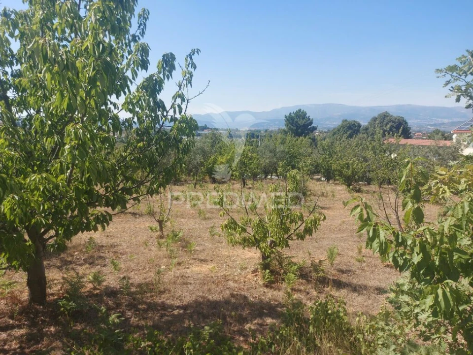 Quinta para Venda em Fundão, Valverde, Donas, A. Joanes, A. Nova Cabo Foto 7