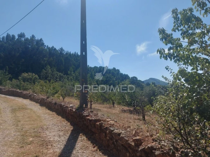 Quinta para Venda em Fundão, Valverde, Donas, A. Joanes, A. Nova Cabo Foto 11