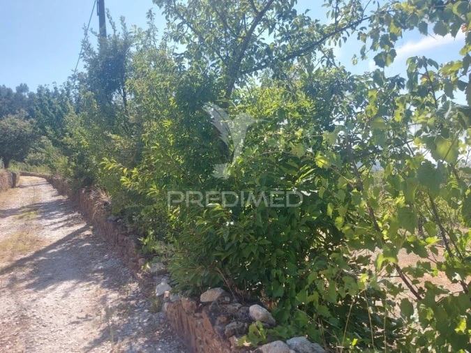 Quinta para Venda em Fundão, Valverde, Donas, A. Joanes, A. Nova Cabo Foto 10