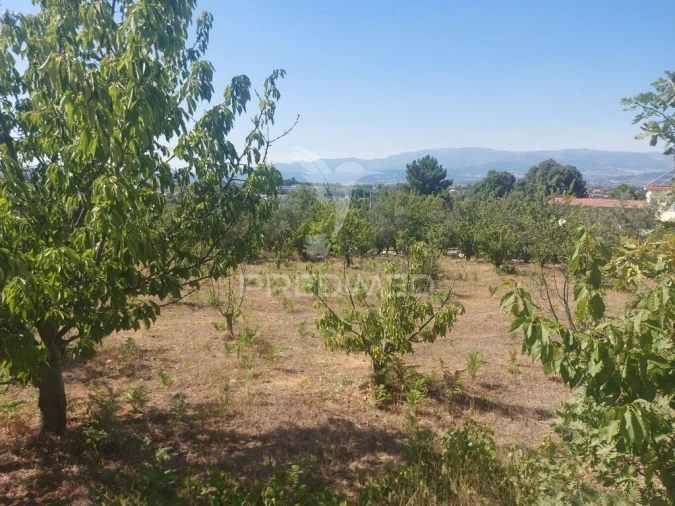 Quinta para Venda em Fundão, Valverde, Donas, A. Joanes, A. Nova Cabo Foto 7