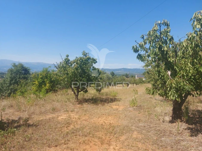 Quinta para Venda em Fundão, Valverde, Donas, A. Joanes, A. Nova Cabo Foto 4