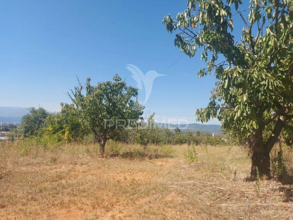 Quinta para Venda em Fundão, Valverde, Donas, A. Joanes, A. Nova Cabo Foto 9