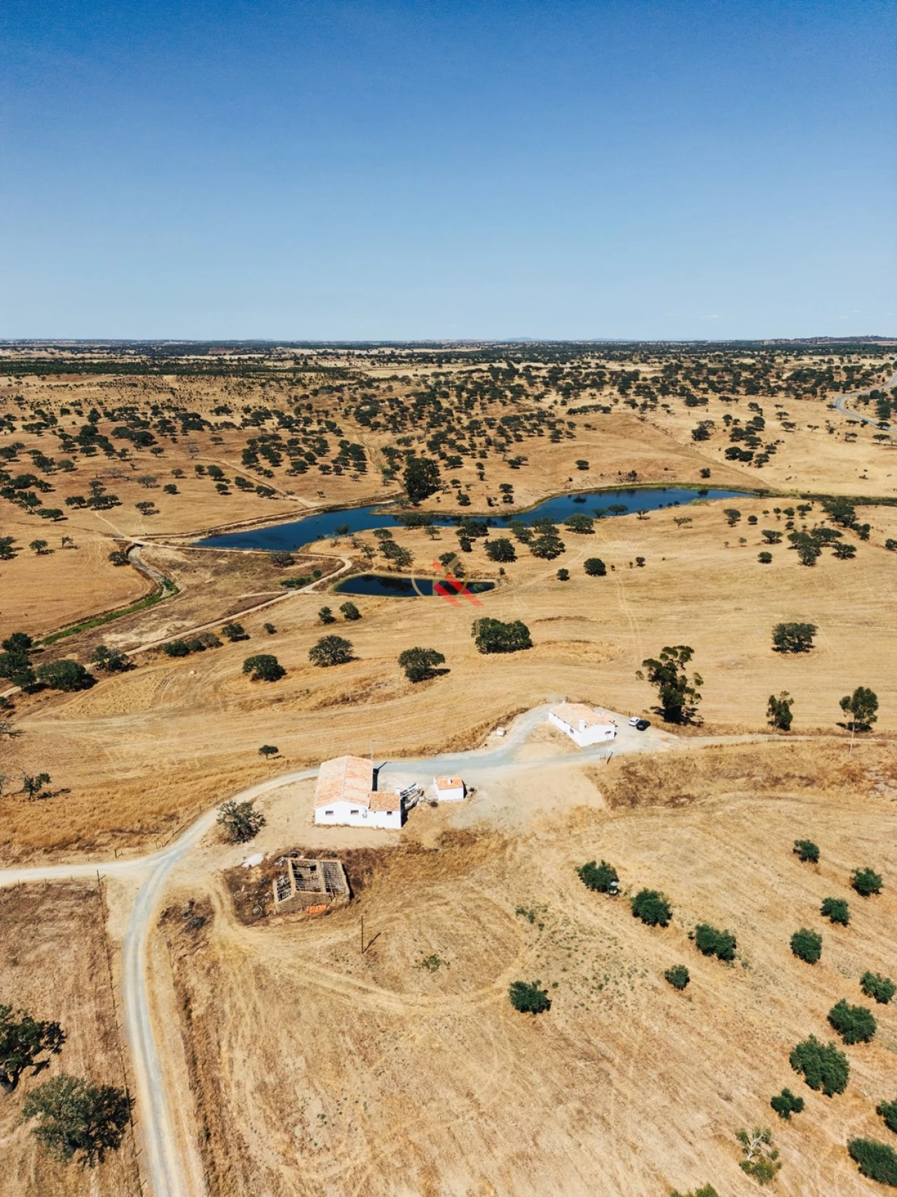 Terreno para Venda em Almodôvar e Graça dos Padrões Foto 5