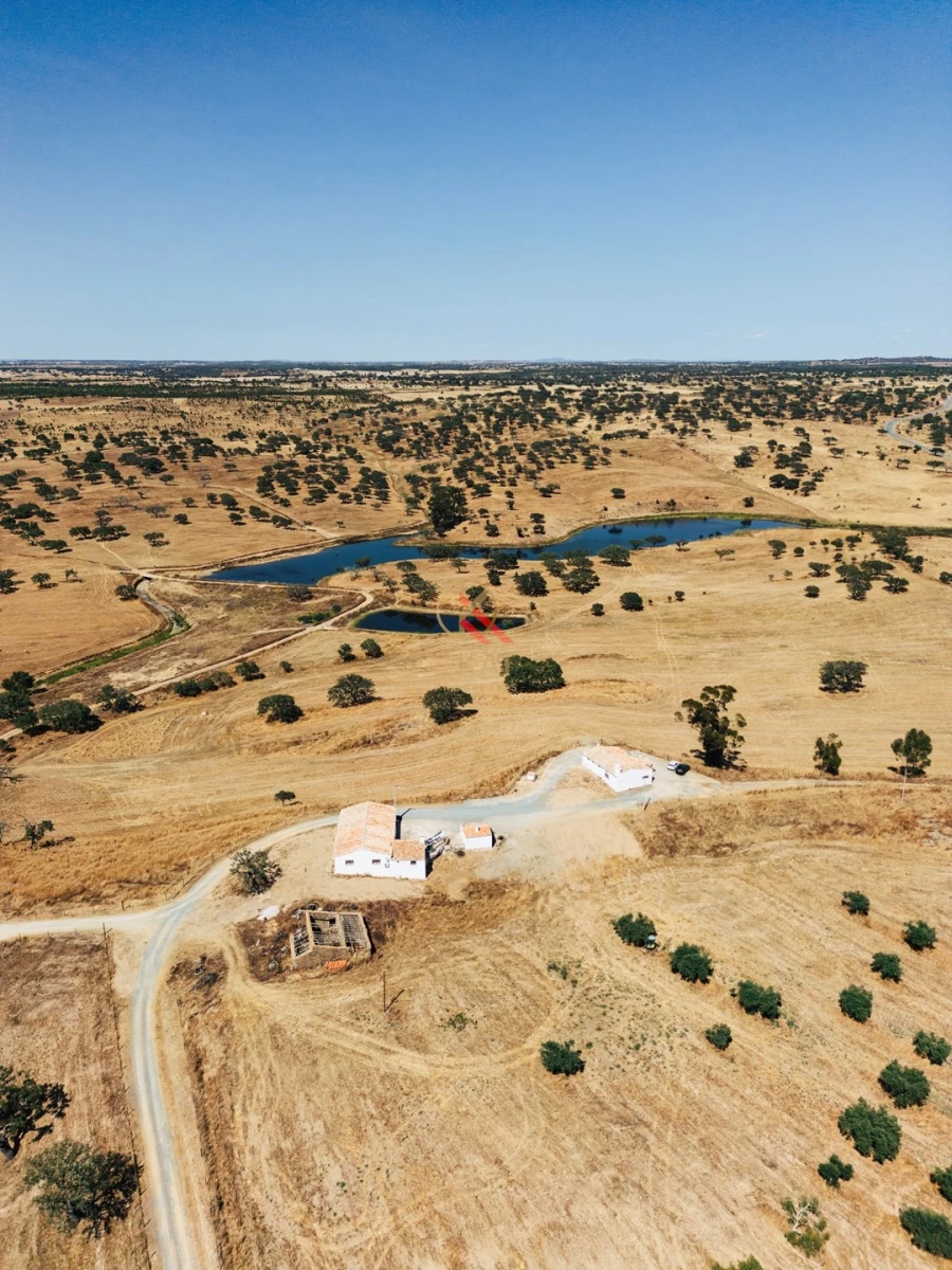 Terreno para Venda em Almodôvar e Graça dos Padrões Foto 5