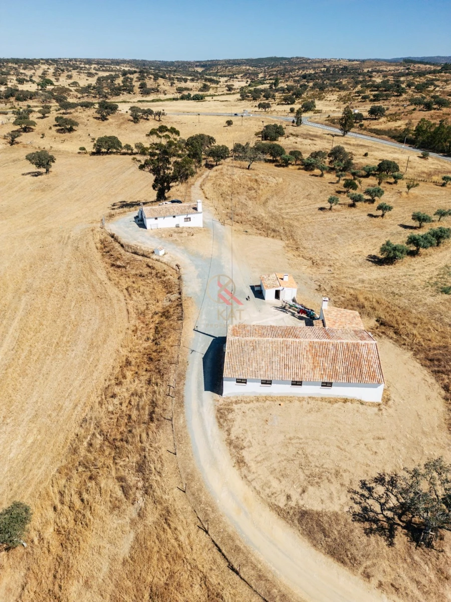 Terreno para Venda em Almodôvar e Graça dos Padrões Foto 8