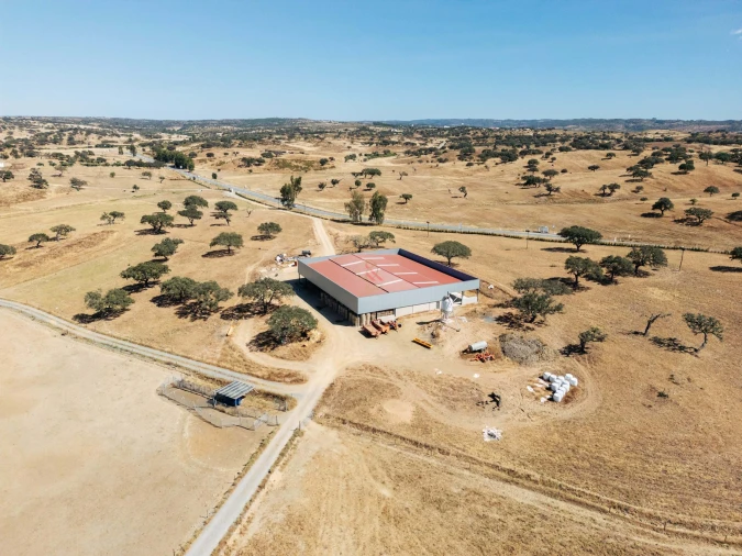 Terreno para Venda em Almodôvar e Graça dos Padrões Foto 14