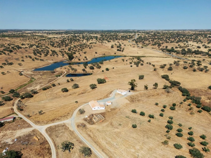 Terreno para Venda em Almodôvar e Graça dos Padrões Foto 28