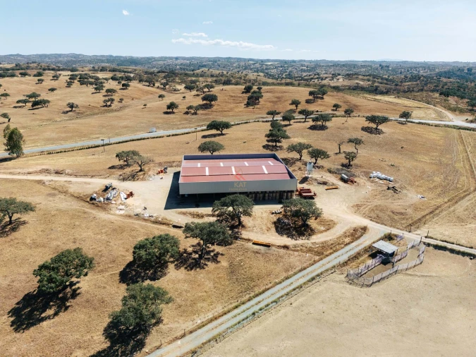 Terreno para Venda em Almodôvar e Graça dos Padrões Foto 13