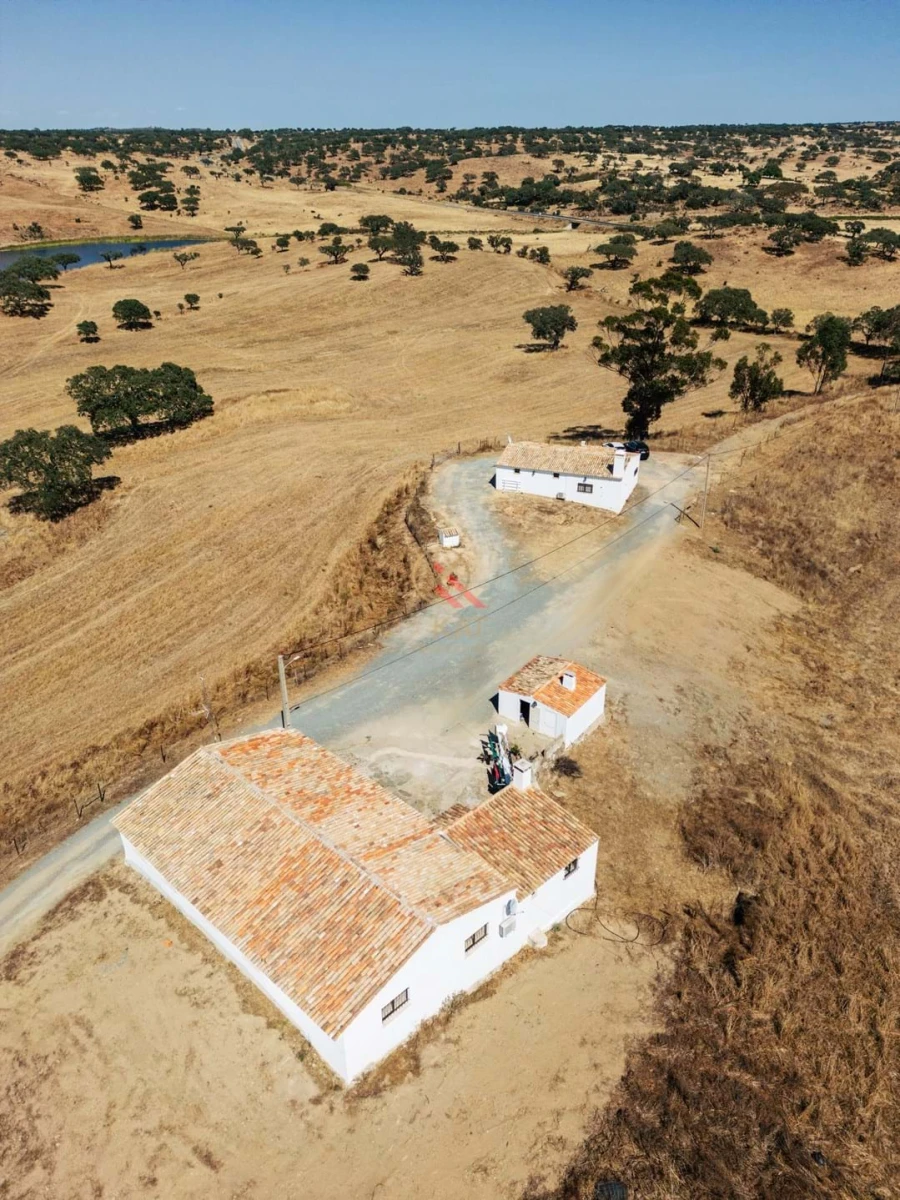 Terreno para Venda em Almodôvar e Graça dos Padrões Foto 9