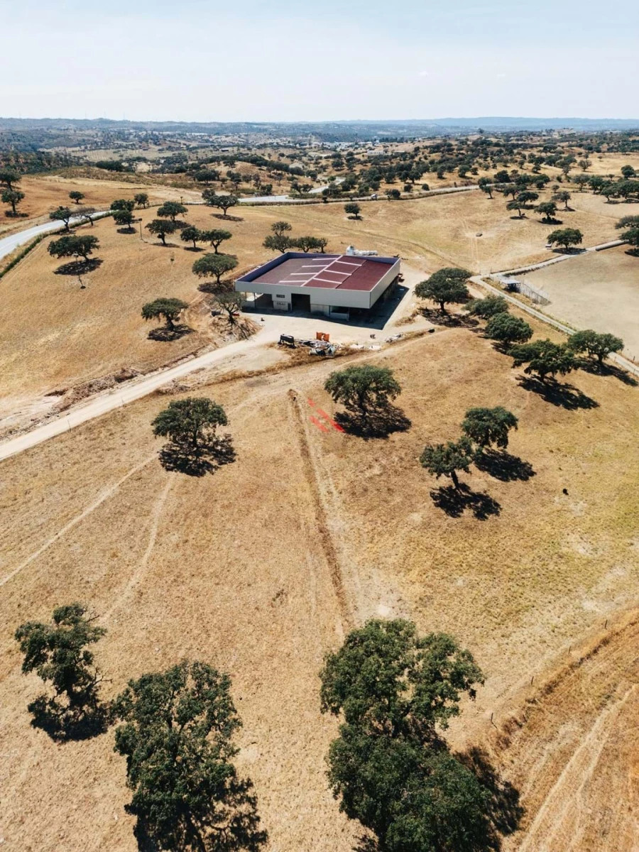 Terreno para Venda em Almodôvar e Graça dos Padrões Foto 4