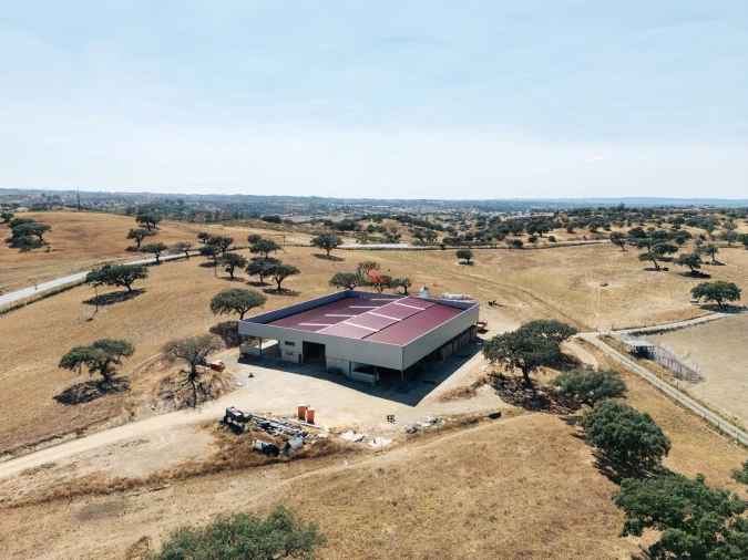 Terreno para Venda em Almodôvar e Graça dos Padrões Foto 12