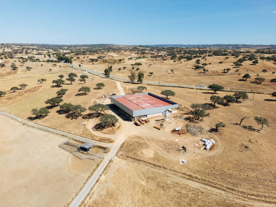 Terreno para Venda em Almodôvar e Graça dos Padrões Foto 14