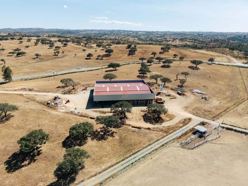 Terreno para Venda em Almodôvar e Graça dos Padrões Foto 13