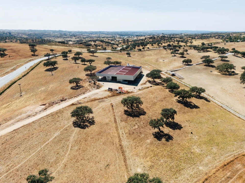 Terreno para Venda em Almodôvar e Graça dos Padrões Foto 11