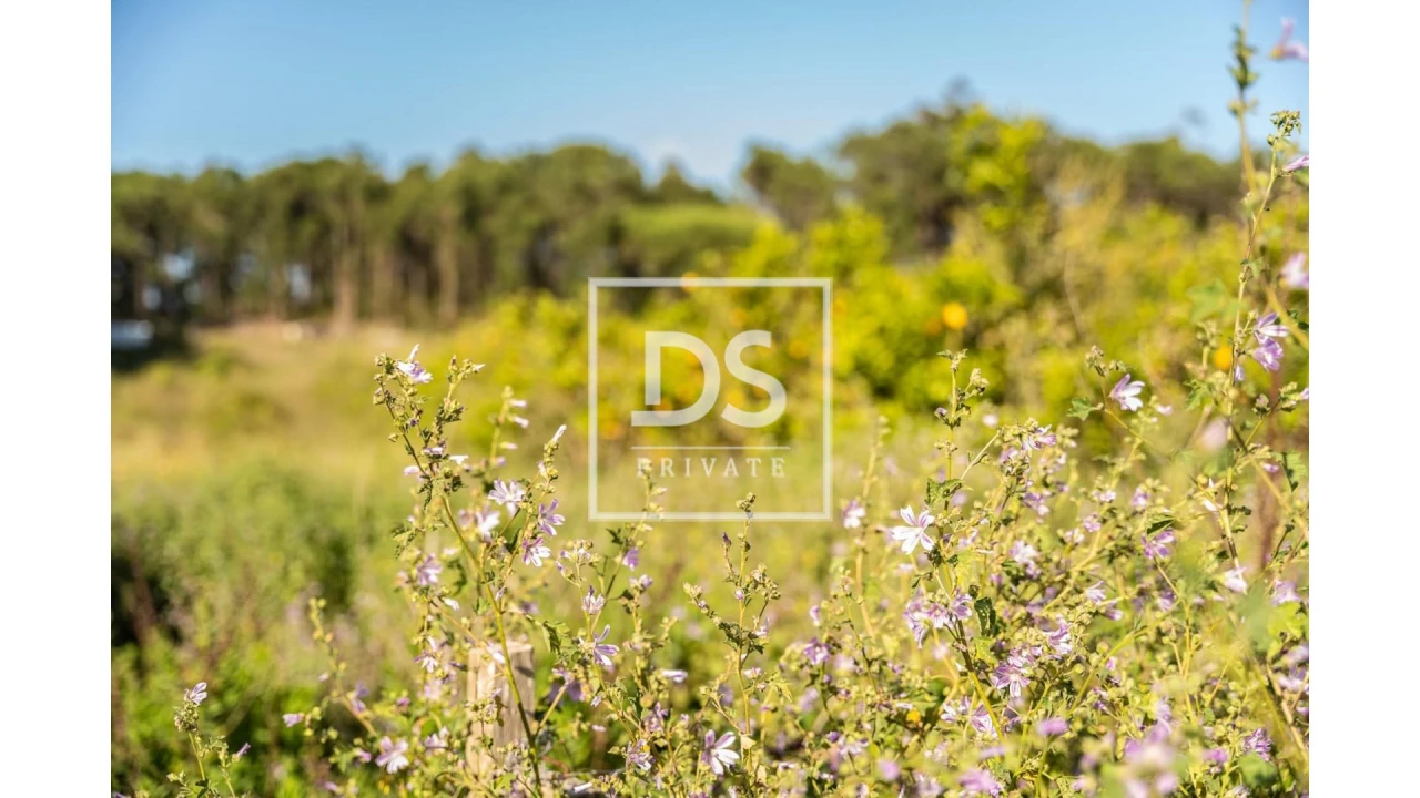 Quinta T3 para Venda em Ericeira Foto 18