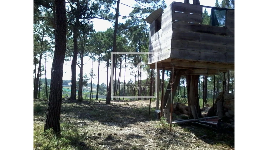 Quinta T3 para Venda em Ericeira Foto 23