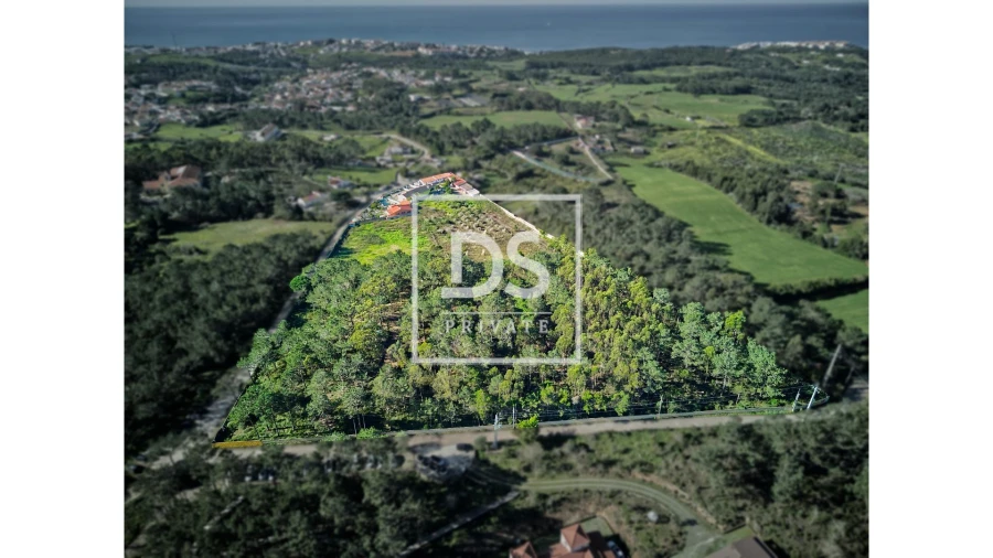 Quinta T3 para Venda em Ericeira Foto 48