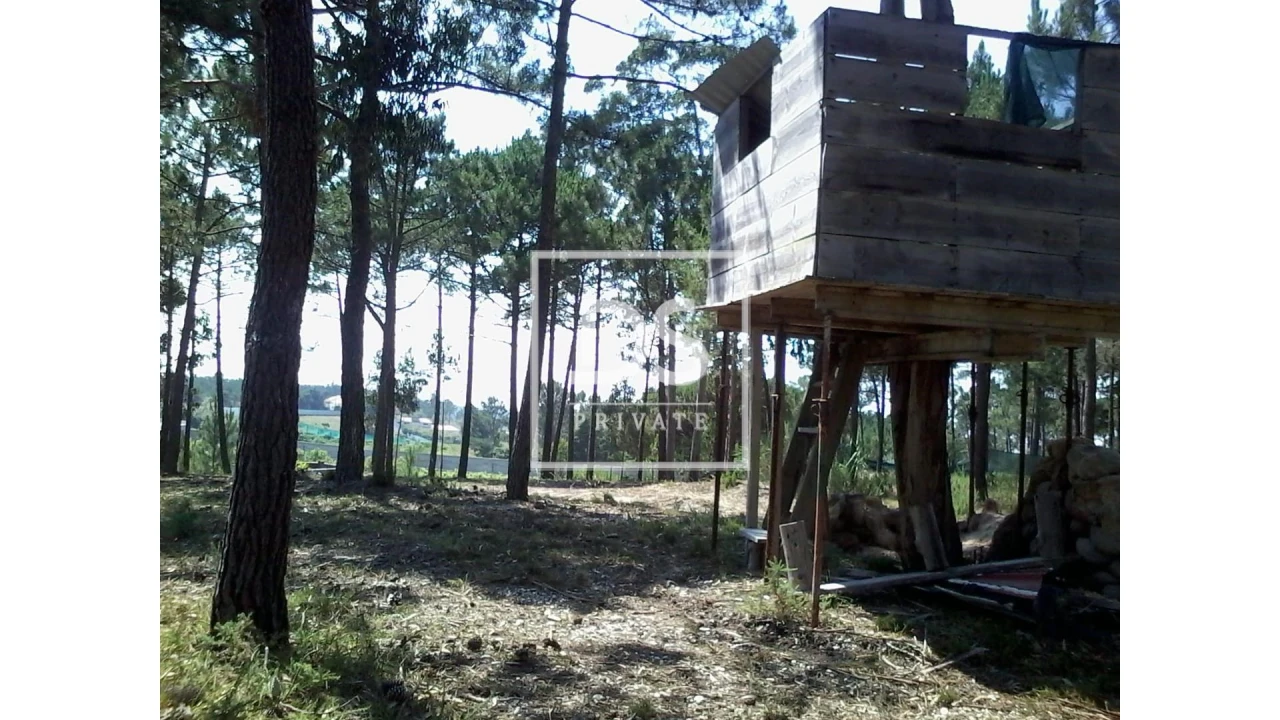 Quinta T3 para Venda em Ericeira Foto 23