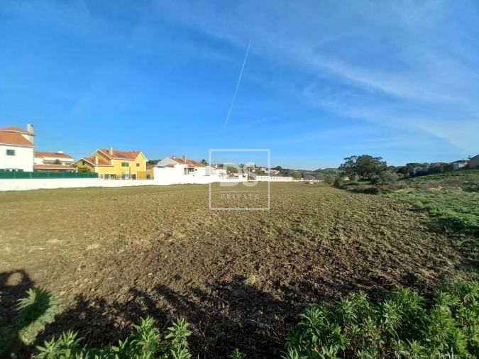 Terreno Agricola ou Rústico para Venda em Milharado Foto 6