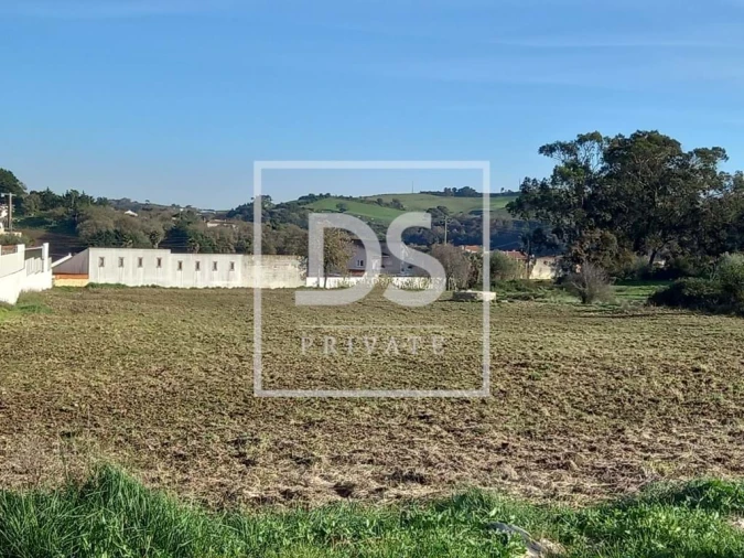 Terreno Agricola ou Rústico para Venda em Milharado Foto 13