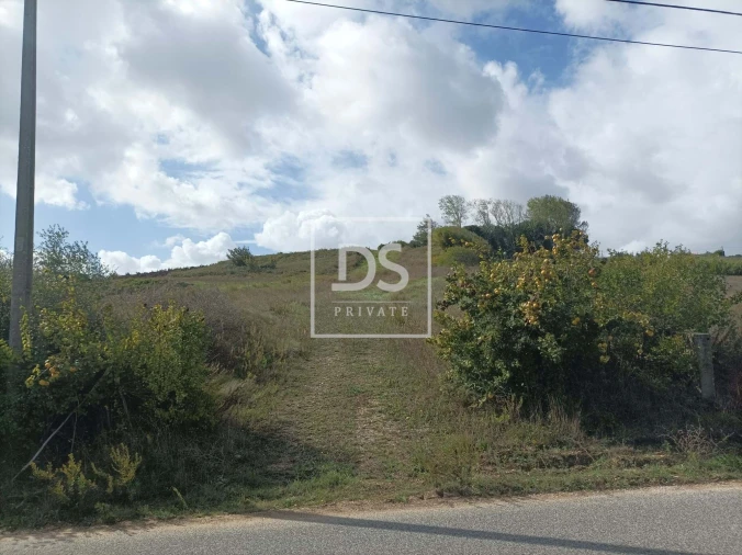 Terreno Agricola ou Rústico para Venda em Ventosa Foto 3