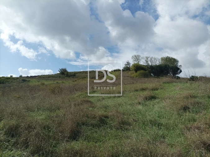 Terreno Agricola ou Rústico para Venda em Ventosa Foto 6