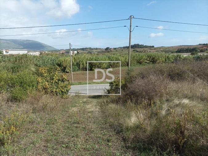 Terreno Agricola ou Rústico para Venda em Ventosa Foto 2