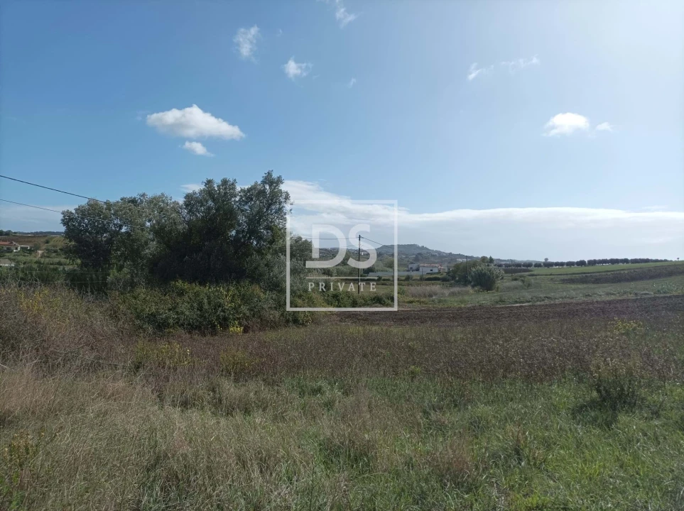 Terreno Agricola ou Rústico para Venda em Ventosa Foto 5