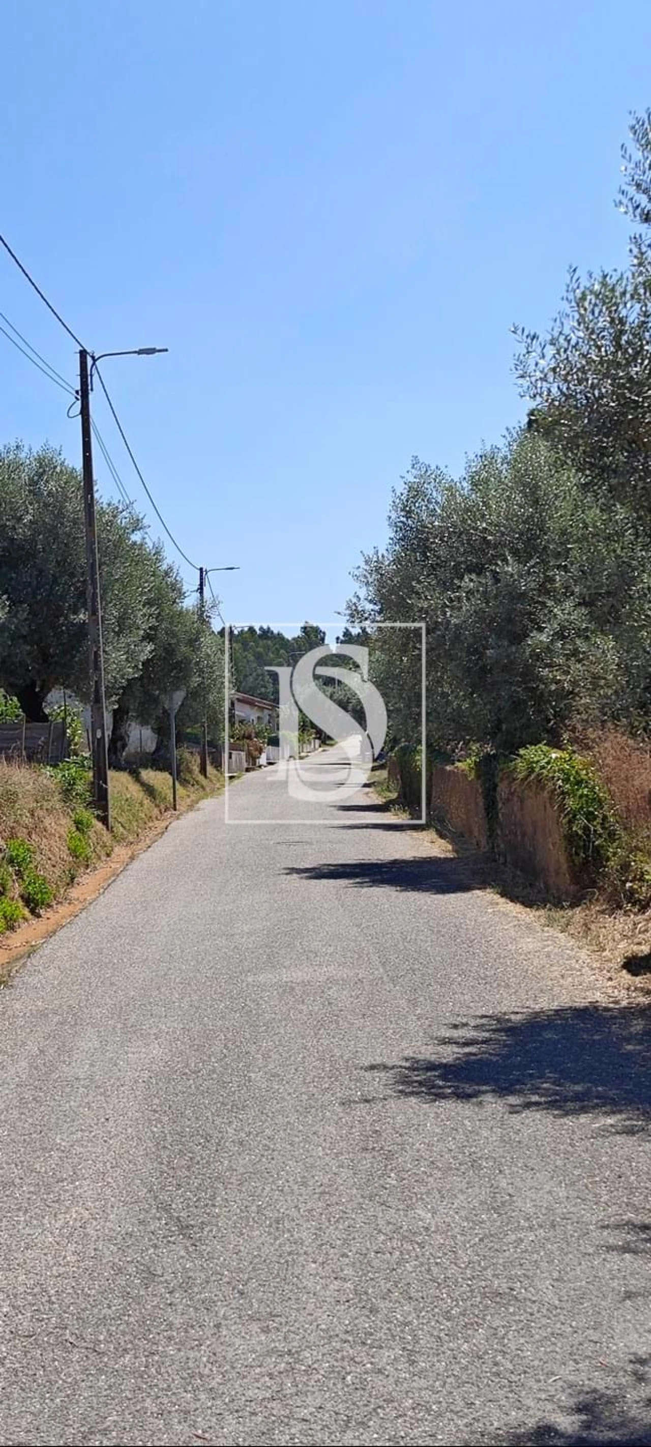 Terreno para Venda em Arcos e Mogofores Foto 2