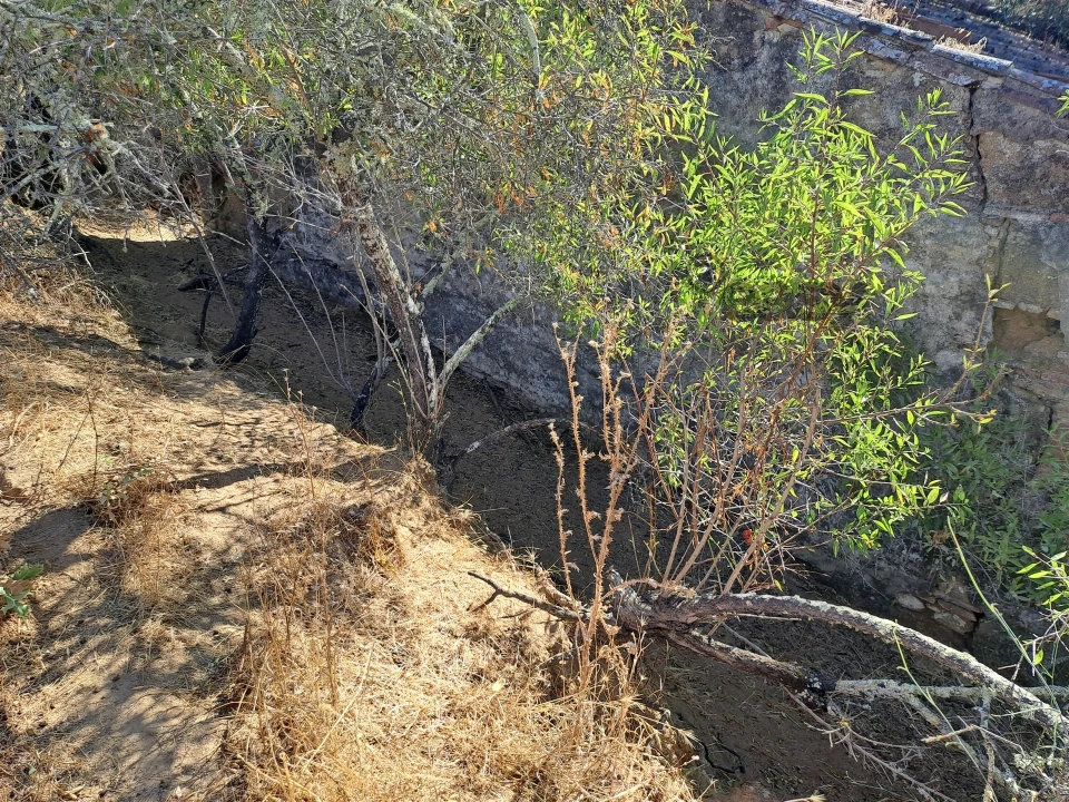 Terreno Misto para Venda em Vidigueira Foto 29