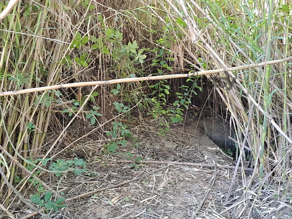 Terreno Misto para Venda em Vidigueira Foto 50