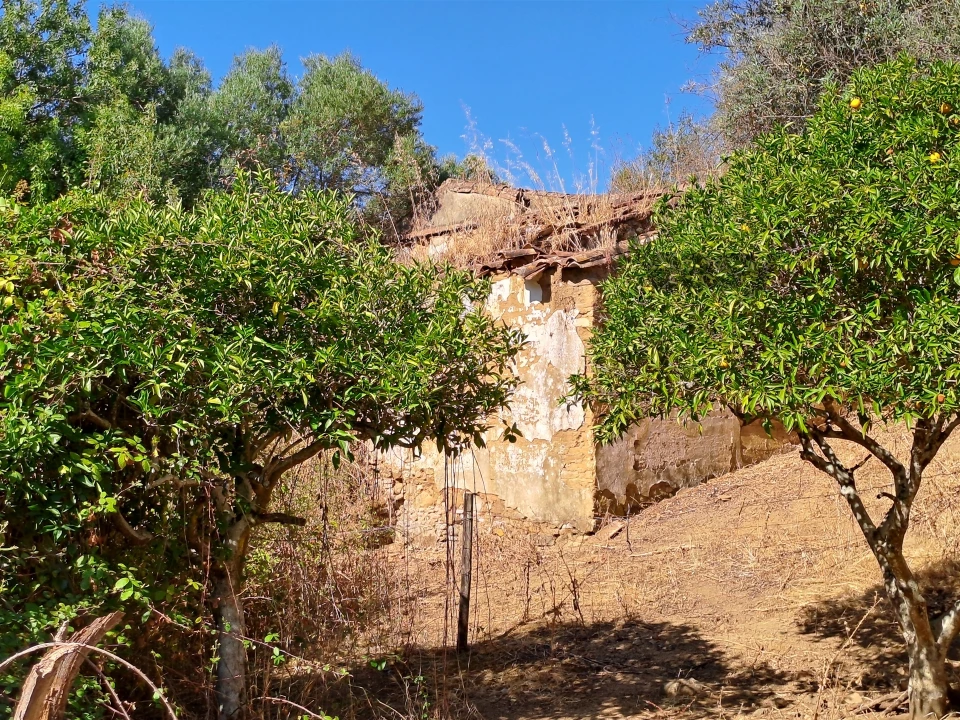 Terreno Misto para Venda em Vidigueira Foto 60
