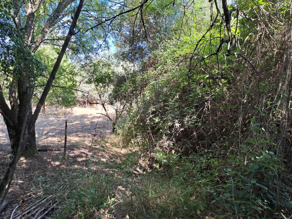 Terreno Misto para Venda em Vidigueira Foto 52