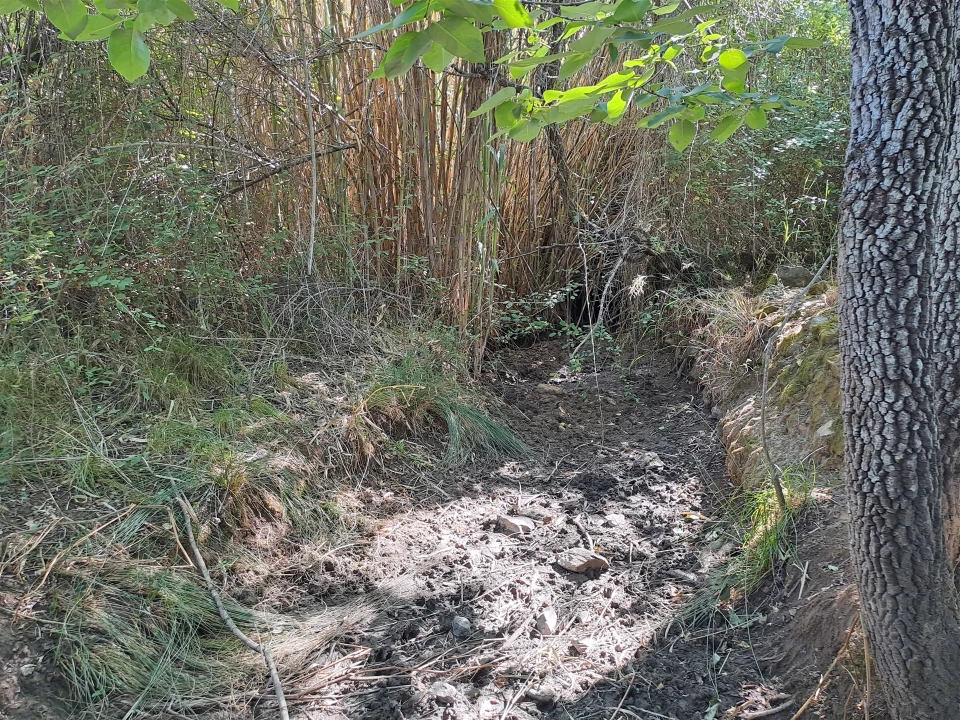 Terreno Misto para Venda em Vidigueira Foto 61