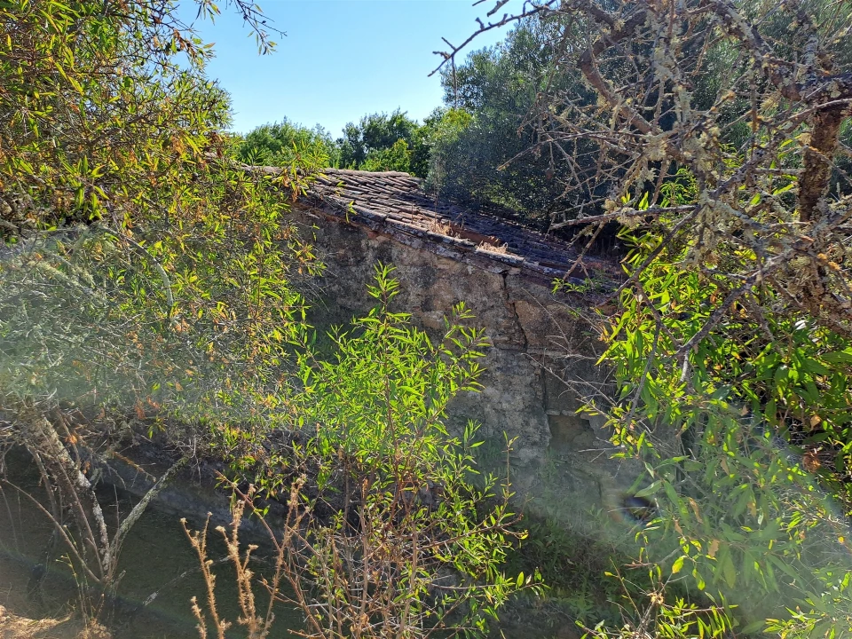 Terreno Misto para Venda em Vidigueira Foto 28