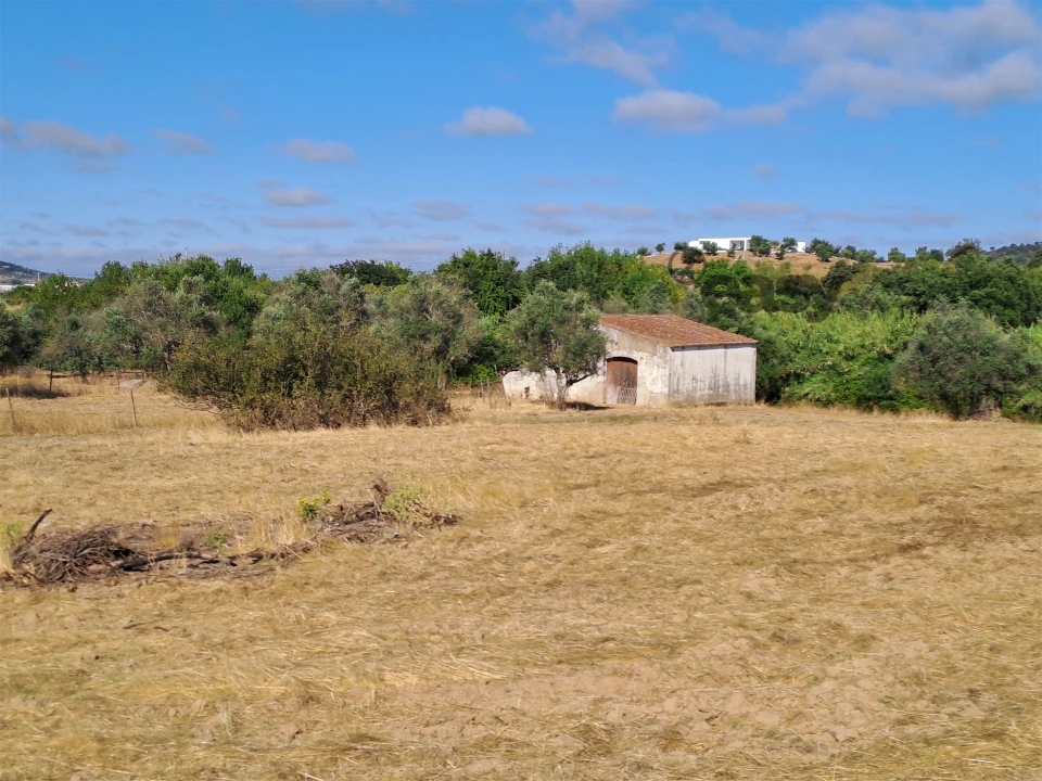 Terreno Misto para Venda em Vidigueira Foto 9
