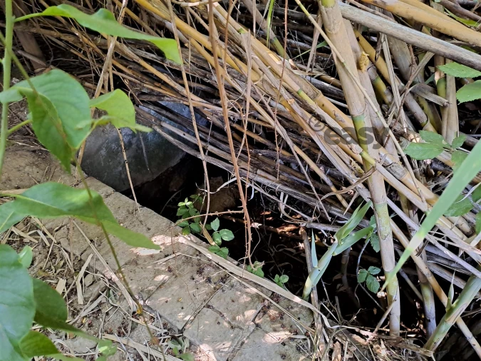 Terreno Misto para Venda em Vidigueira Foto 53