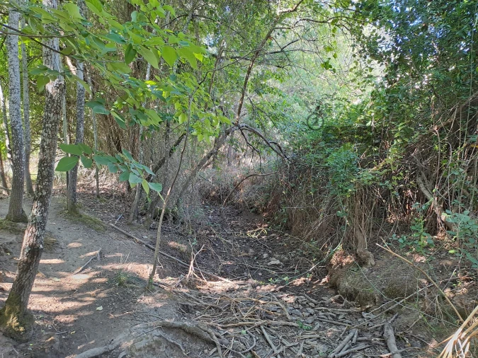 Terreno Misto para Venda em Vidigueira Foto 62