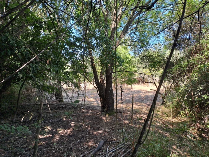 Terreno Misto para Venda em Vidigueira Foto 51