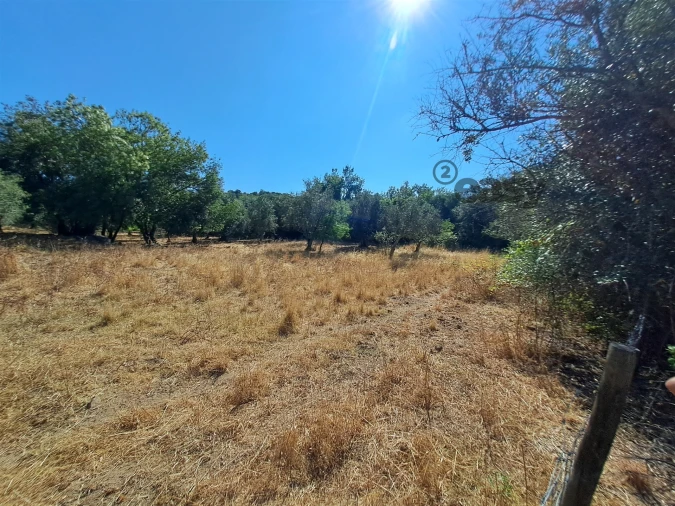 Terreno Misto para Venda em Vidigueira Foto 47