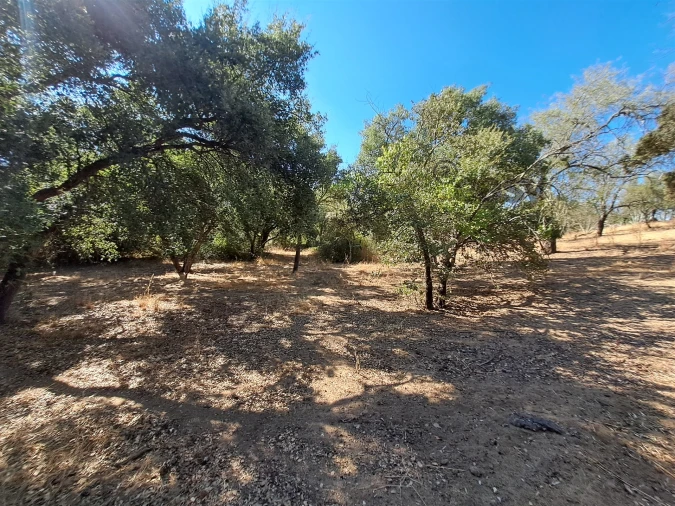 Terreno Misto para Venda em Vidigueira Foto 37