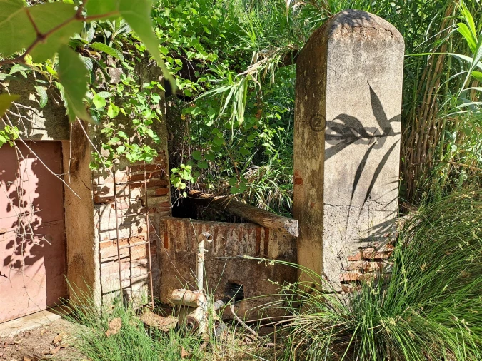 Terreno Misto para Venda em Vidigueira Foto 23