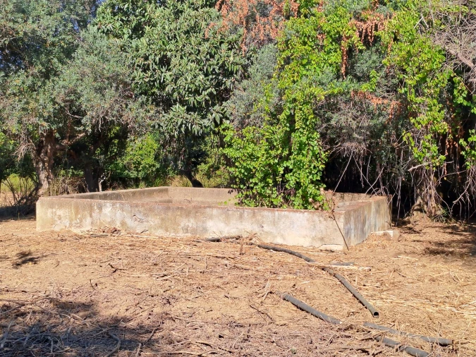 Terreno Misto para Venda em Vidigueira Foto 20