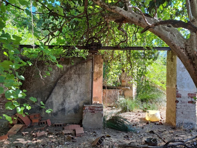 Terreno Misto para Venda em Vidigueira Foto 25