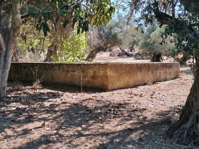 Terreno Misto para Venda em Vidigueira Foto 64